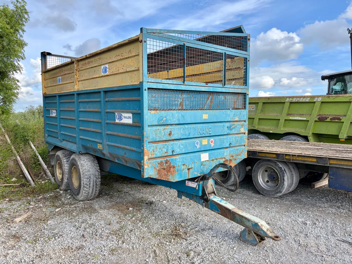 Portlaoise Auction Yard Full - Image 2