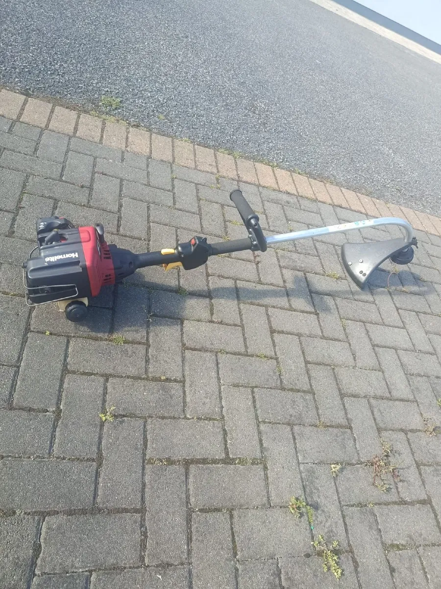Homelite Strimmer - Image 1