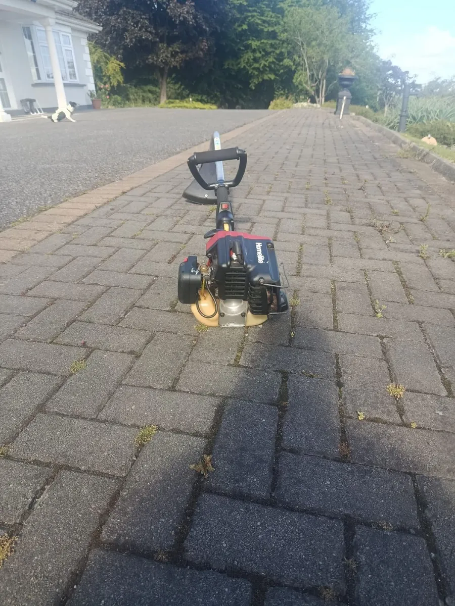 Homelite Strimmer - Image 3