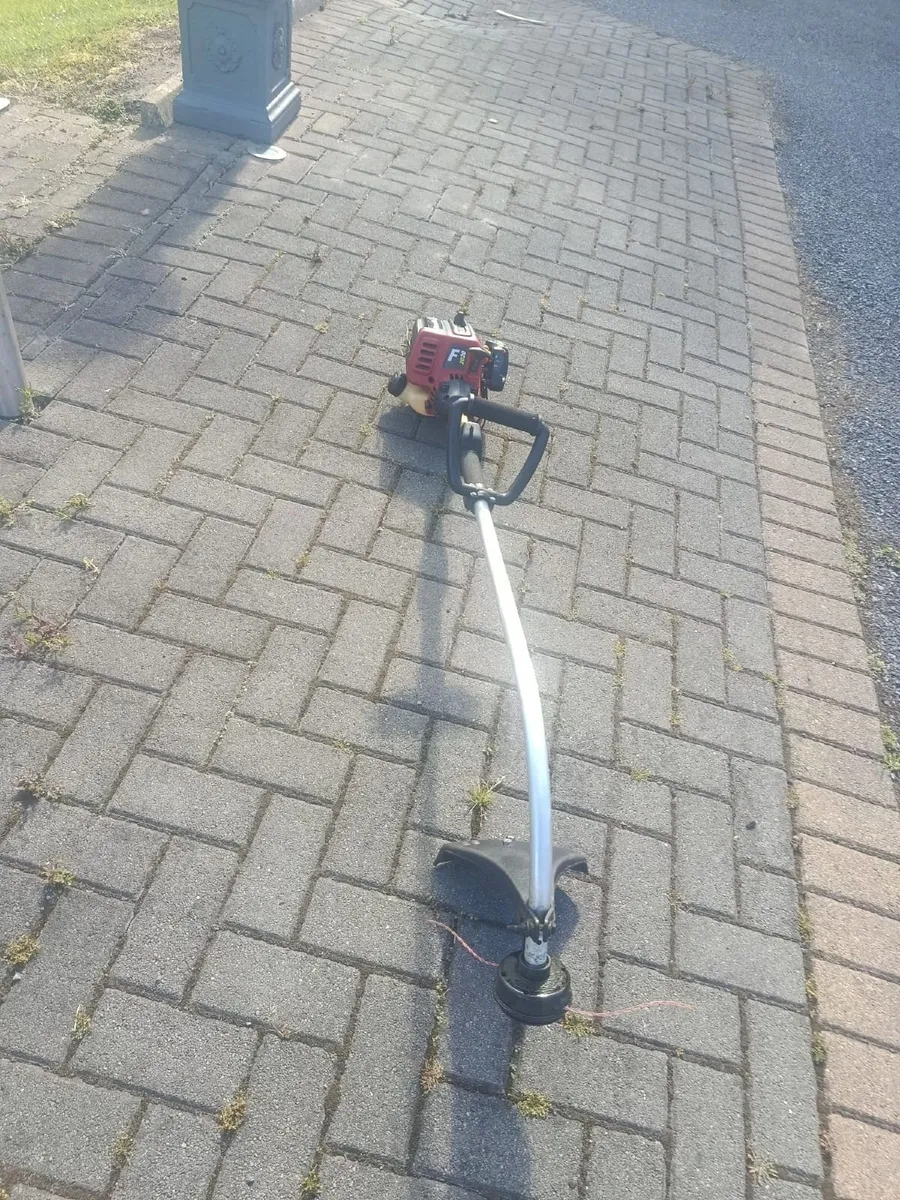 Homelite Strimmer - Image 4