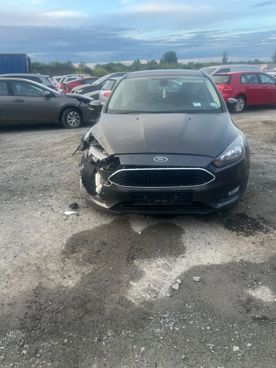 142 focus 1.0 petrol - Image 1