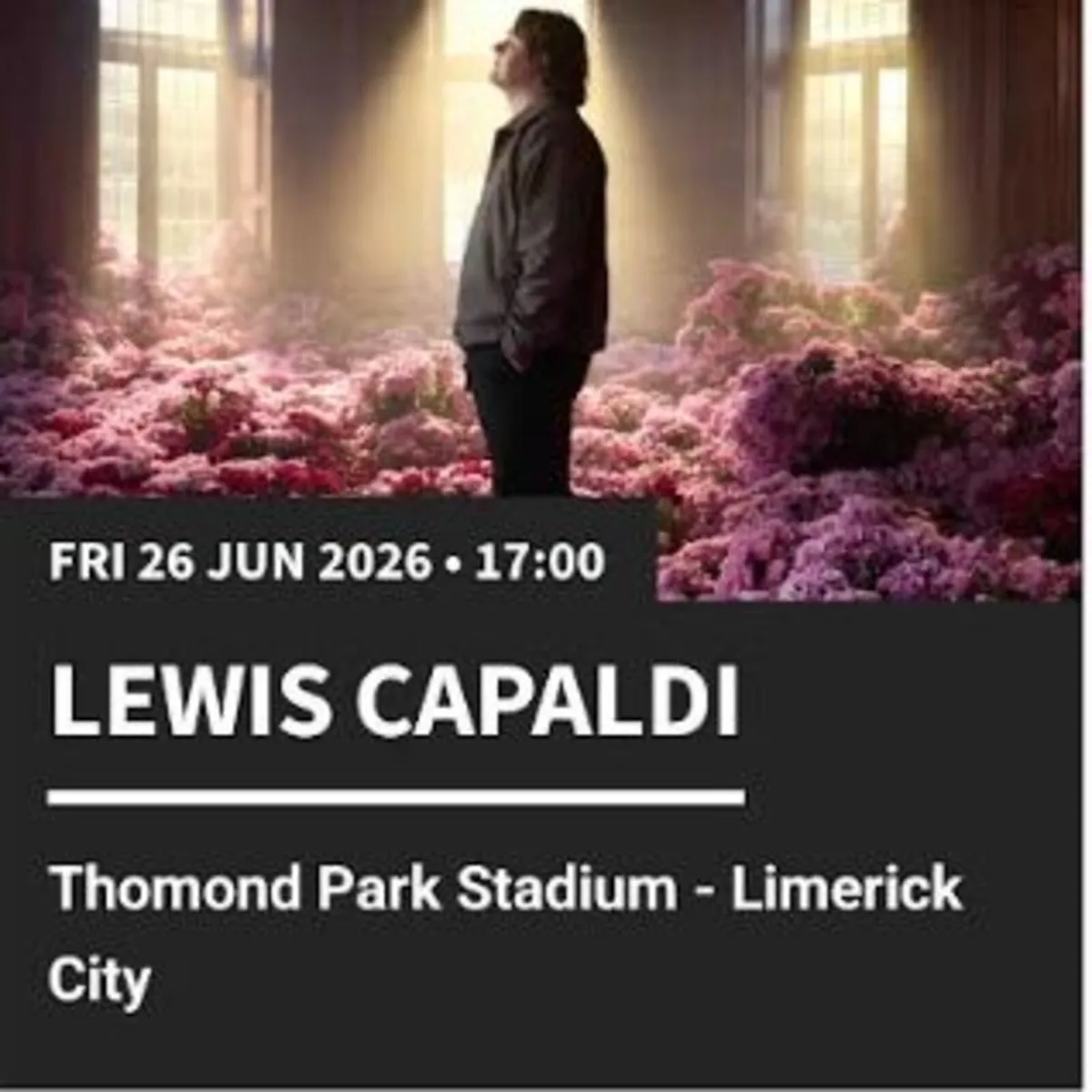 Lewis Capaldi Standing Tickets X 4
