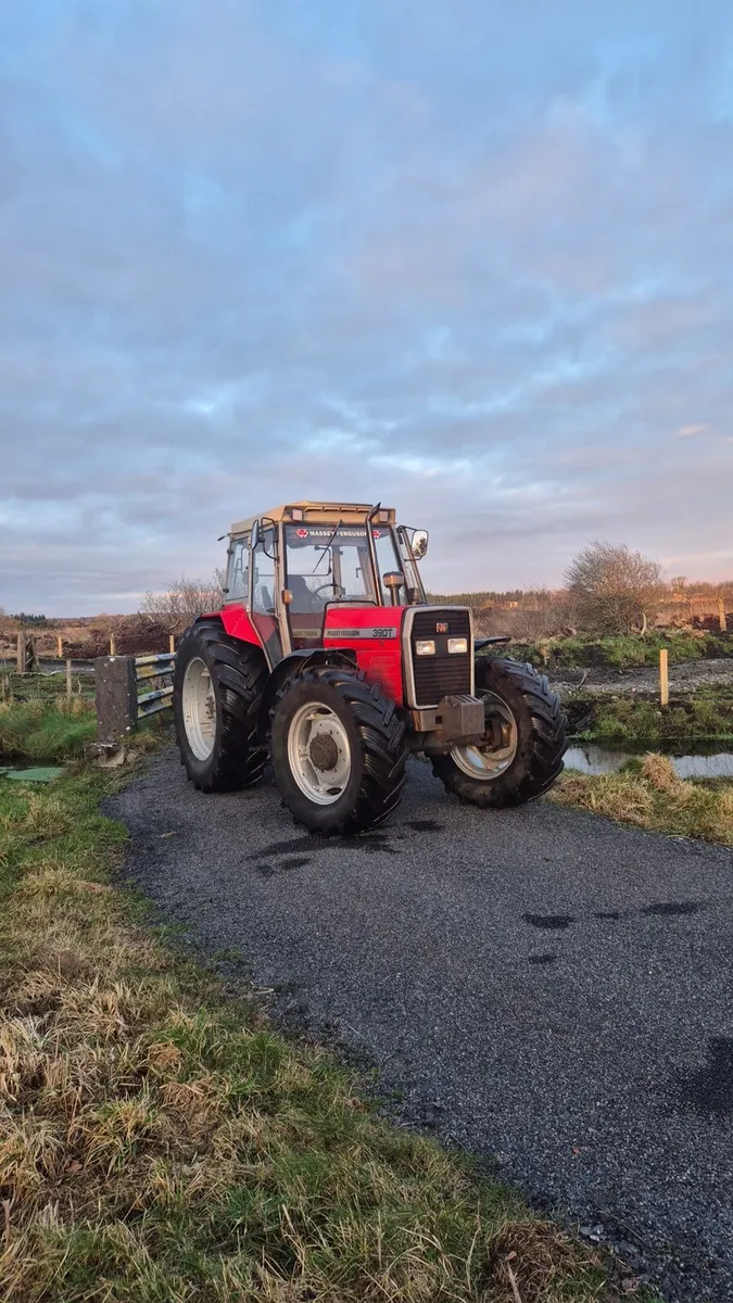 Massey Ferguson 390T or 390 WANTED - Image 2