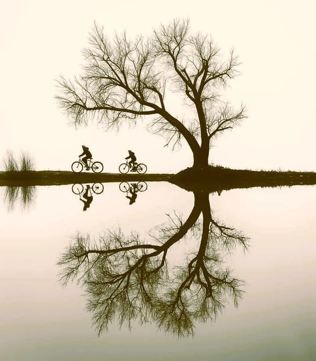 !!! Used Bikes !!! - Image 2