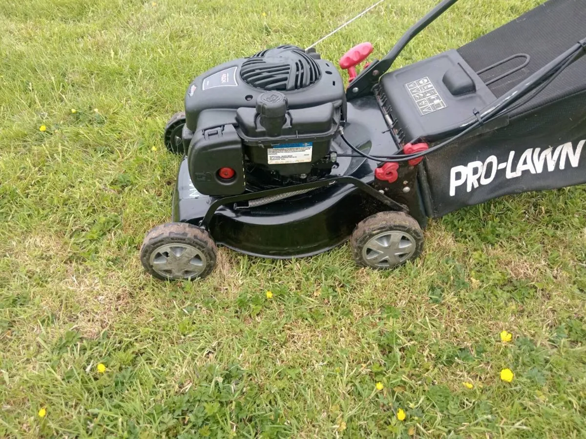 Lawnmowers - Image 1