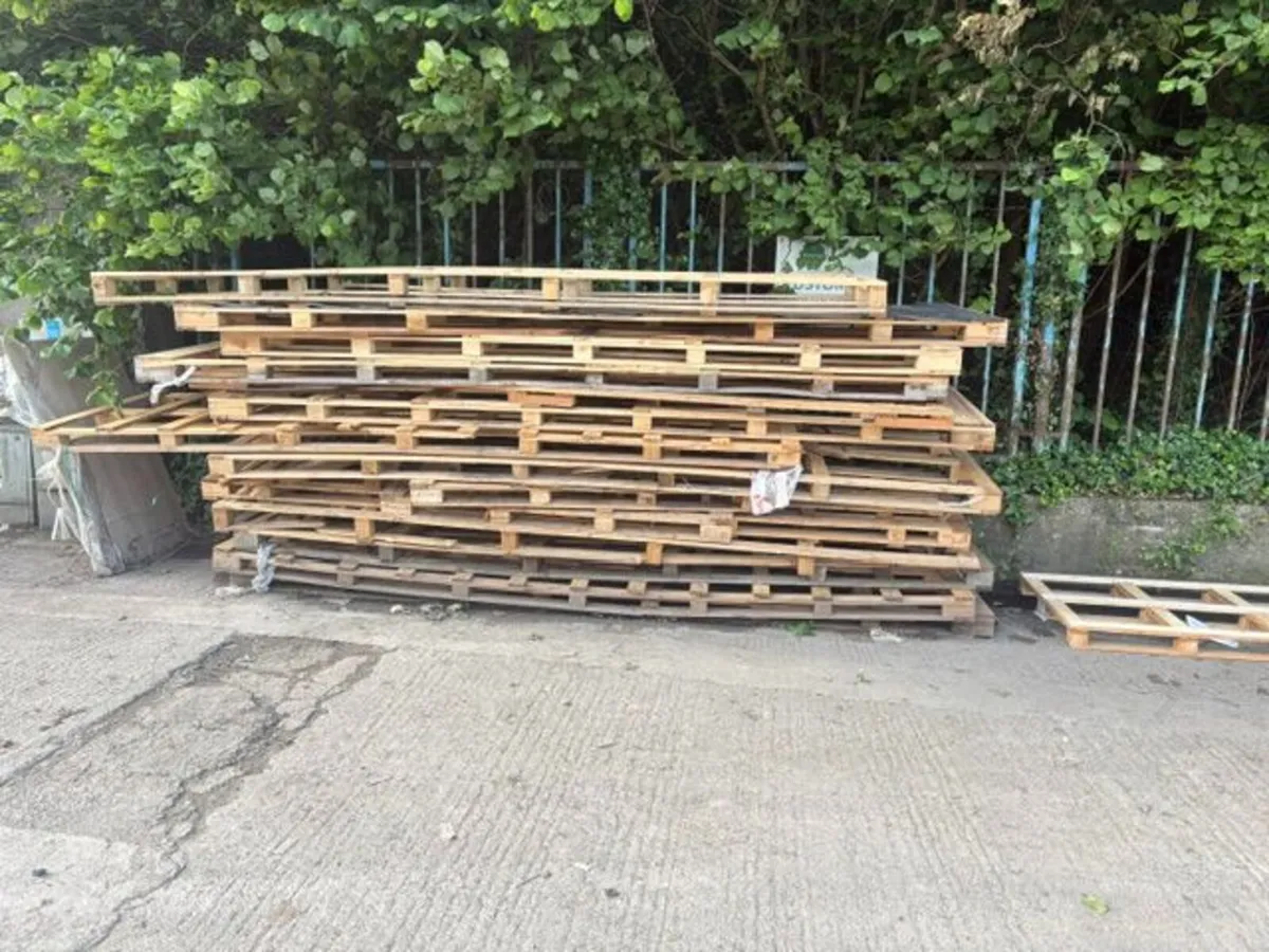 timber pallets - Image 1