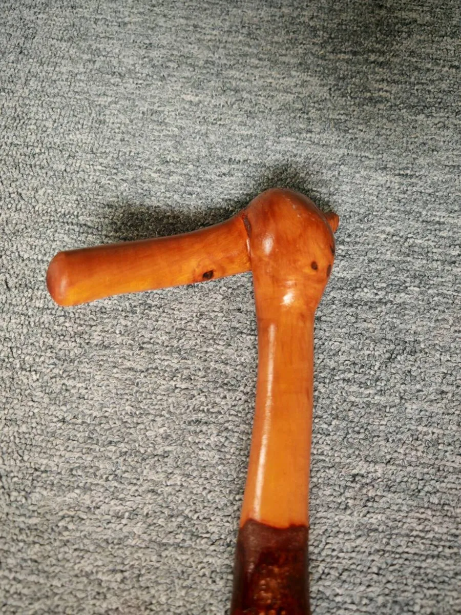 Hand Crafted Blackthorn Walking Stick - Image 1