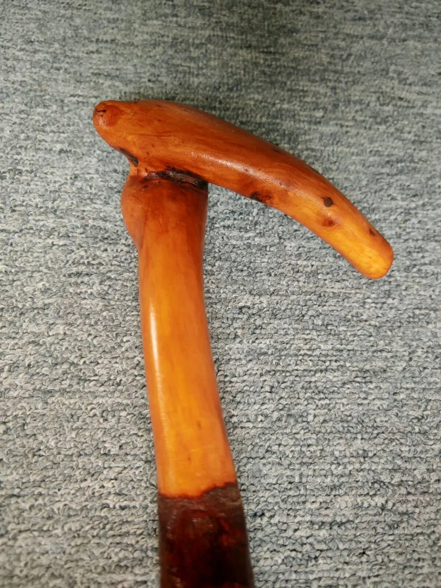 Hand Crafted Blackthorn Walking Stick - Image 2