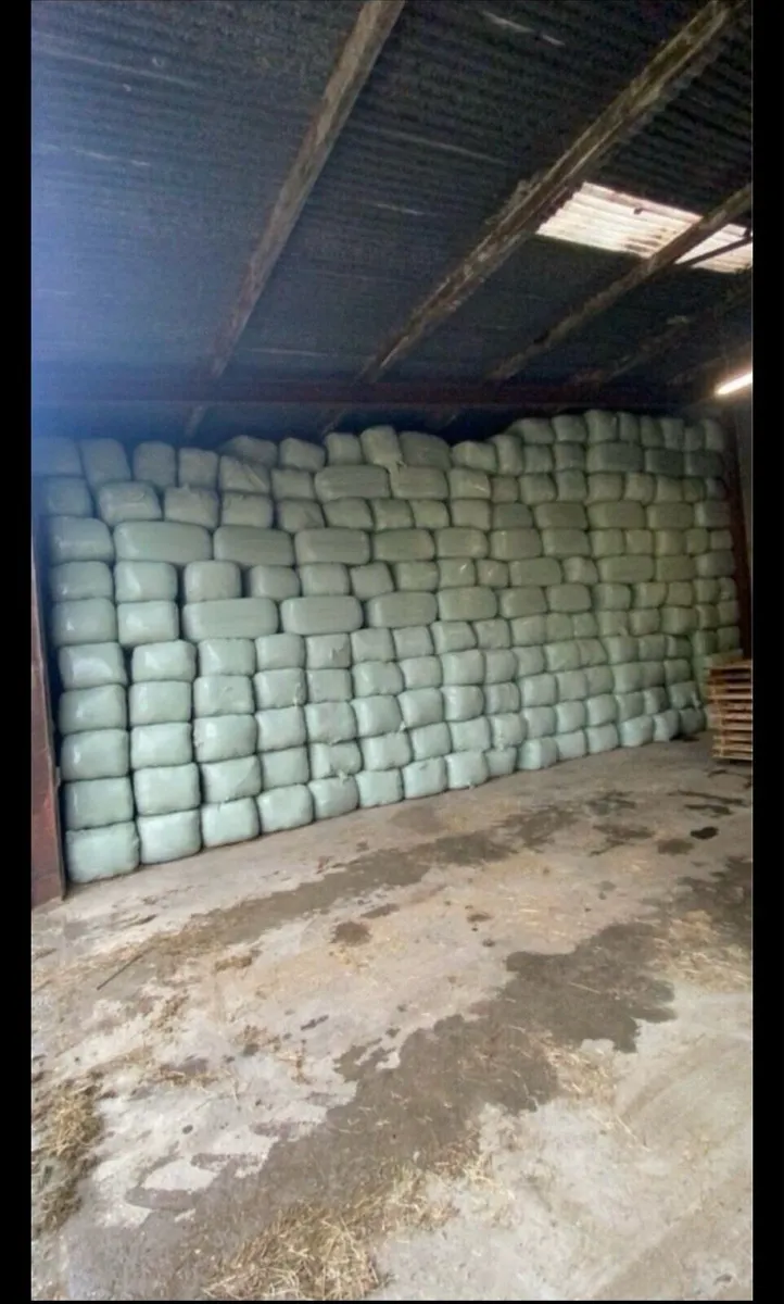Haylage - Image 1
