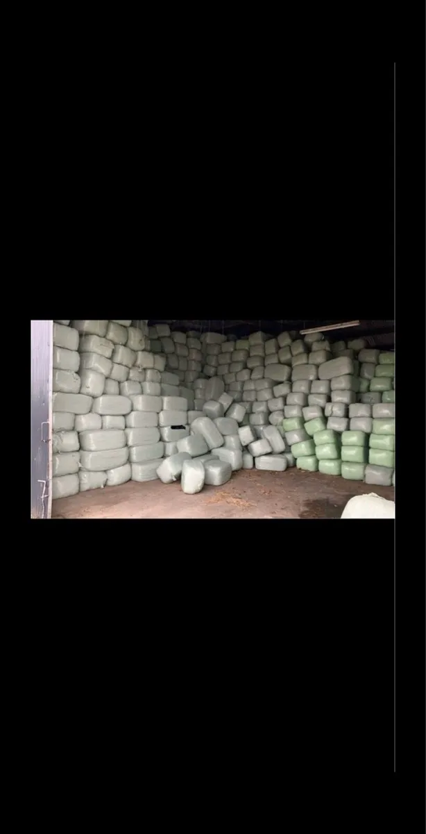 Haylage - Image 3