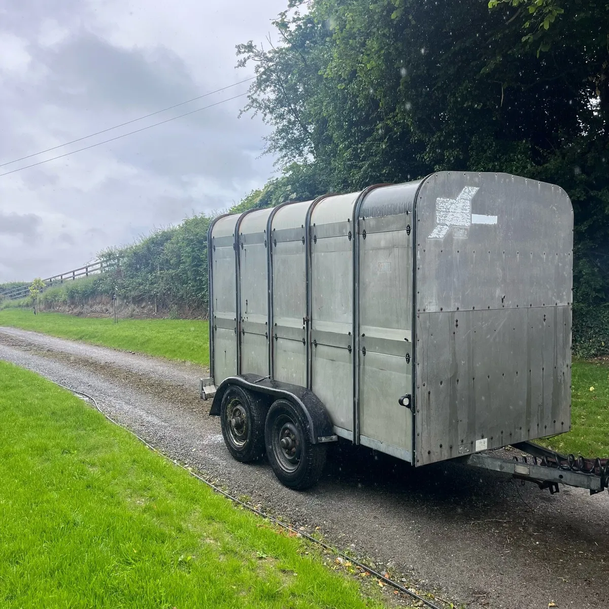 Ifor Williams 10 x 6 cattle trailer. - Image 1