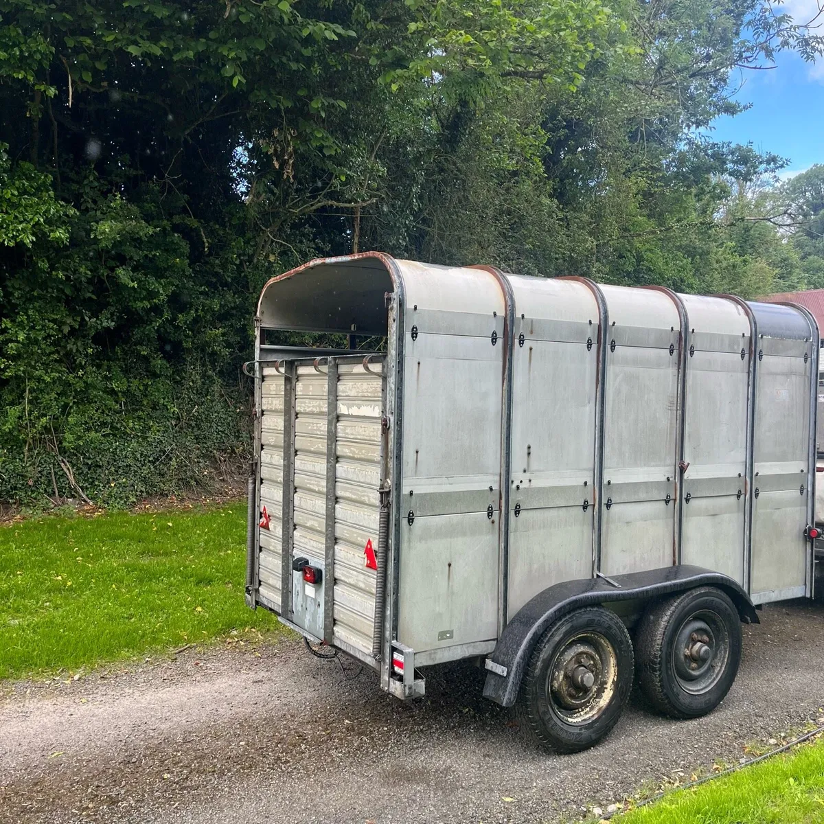 Ifor Williams 10 x 6 cattle trailer. - Image 2