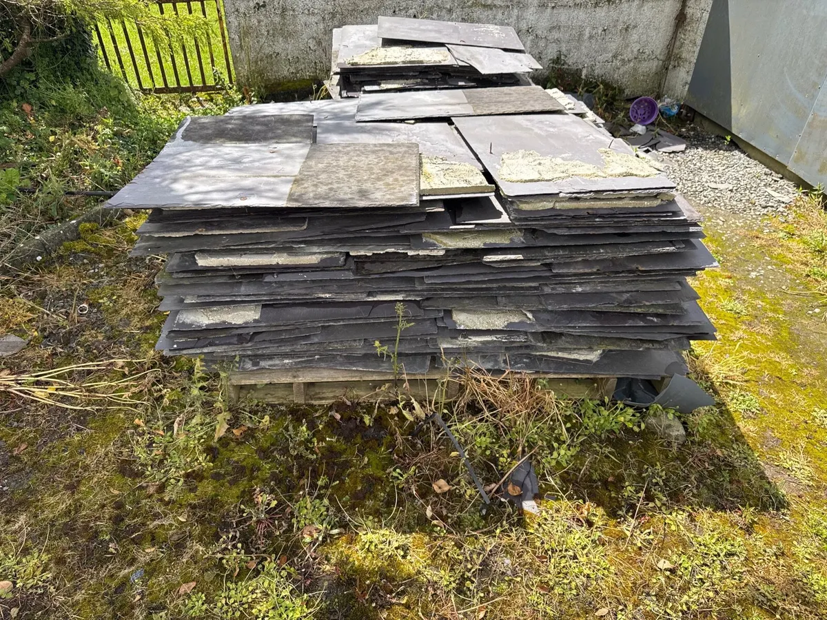 Blue Bangor Slates - Image 1