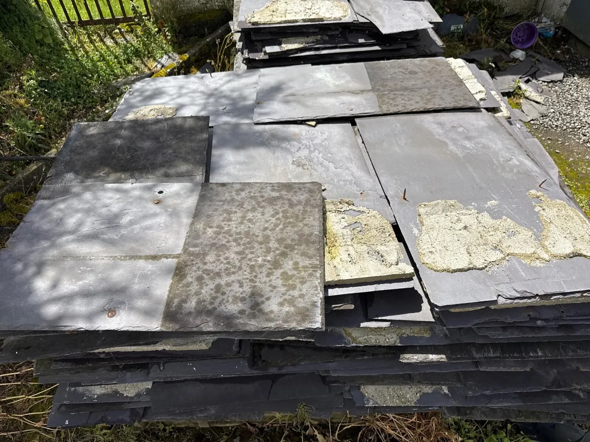 Blue Bangor Slates - Image 2