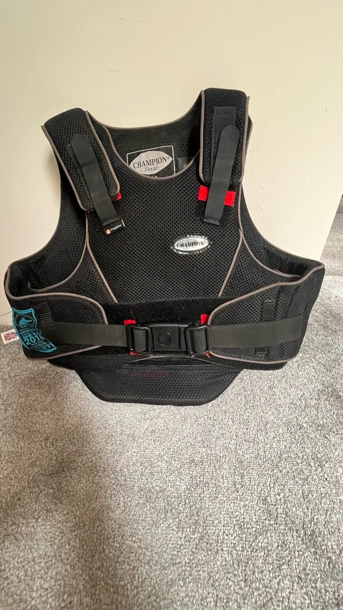 Horse riding equipment - Image 2