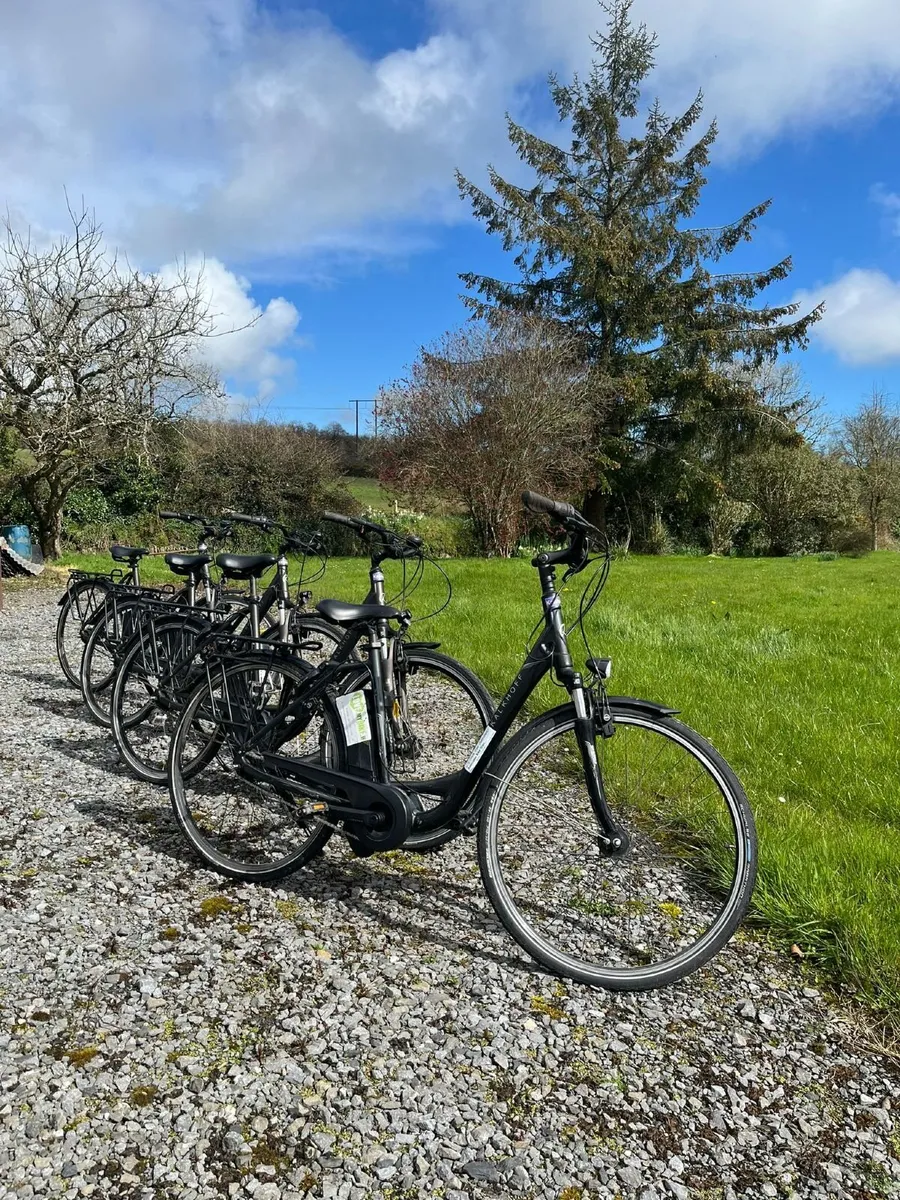 Kalkhoff Electric Bikes – 120km Range – Great Cond - Image 2
