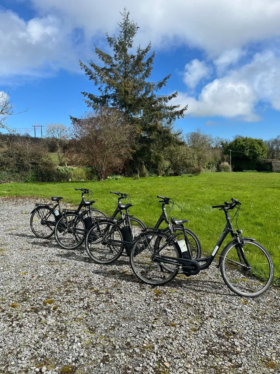 Kalkhoff Electric Bikes – 120km Range – Great Cond - Image 3