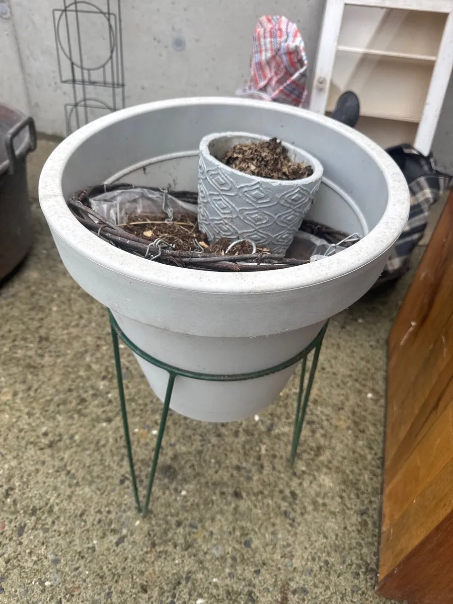 Free plant pot