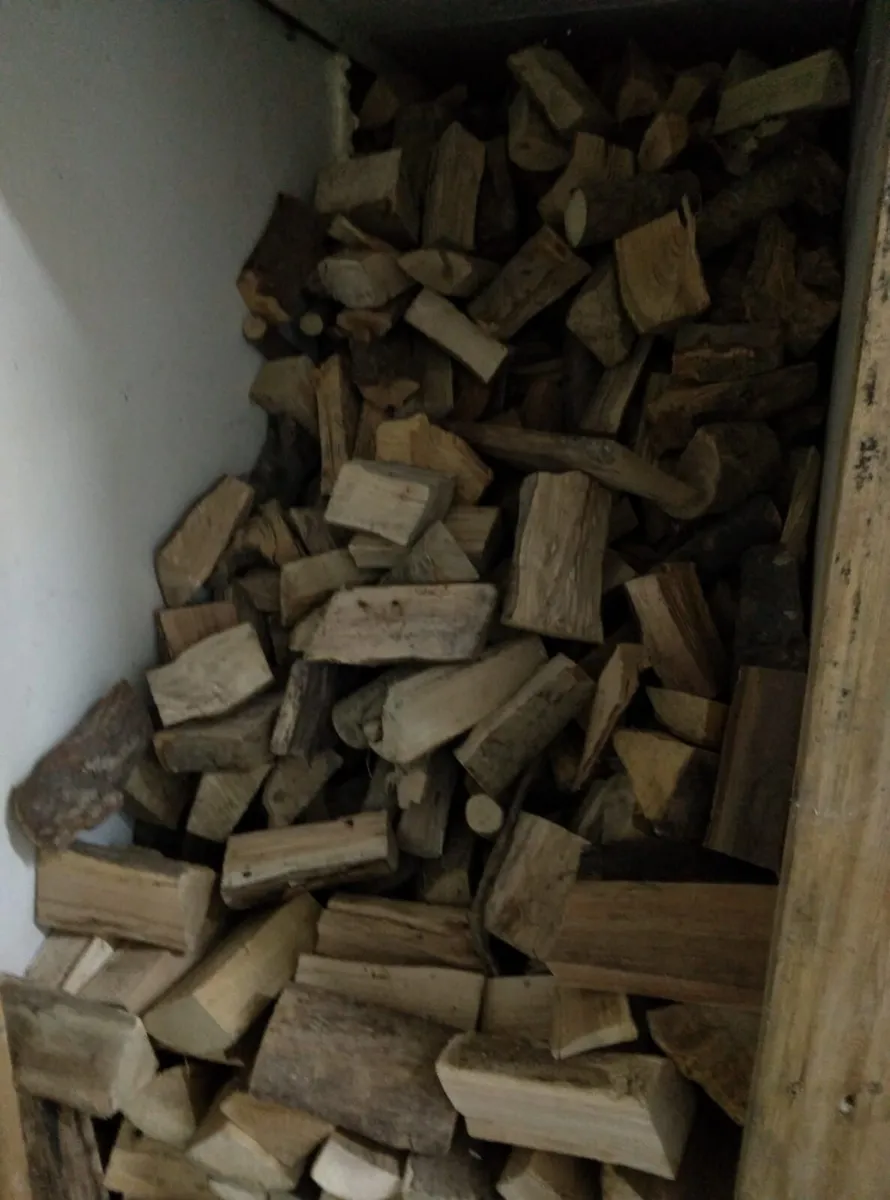 Well-Seasoned Ash Firewood – Tonne Bags - Image 3