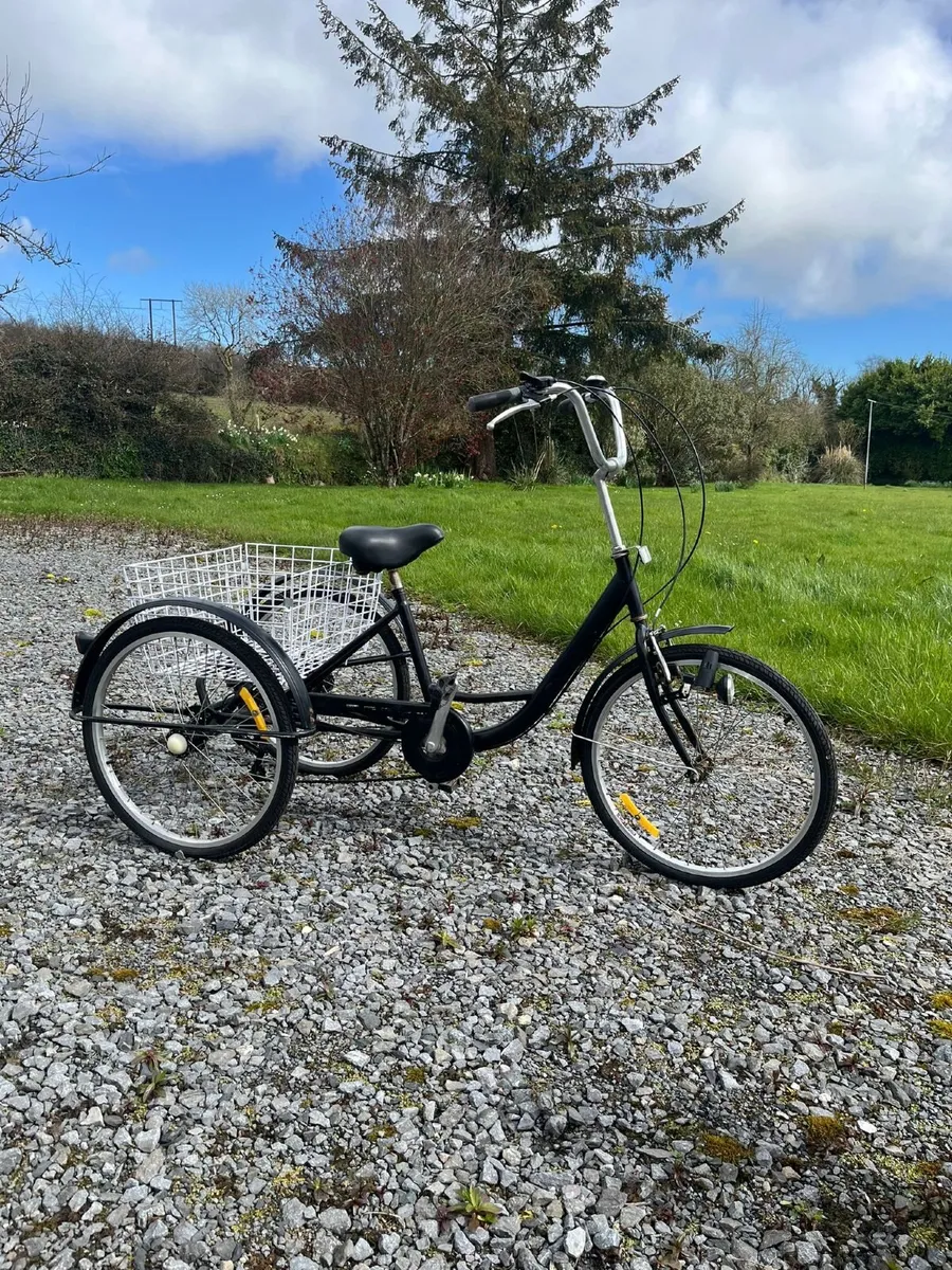 Tandem Bike + Adult Trike Both in Great Condition - Image 2
