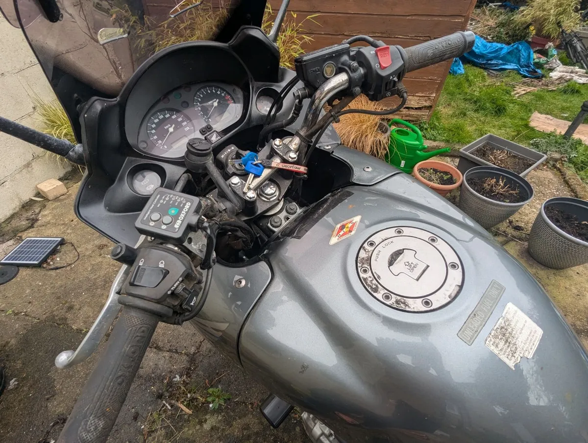 Honda CBF600- 2009 - Image 2