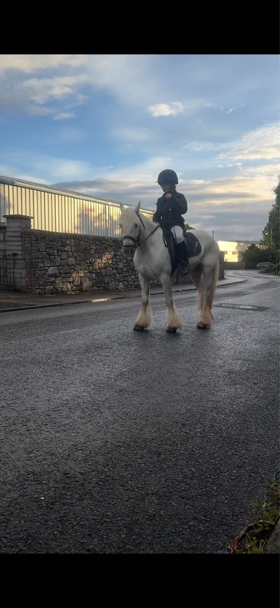 Pony - Image 1