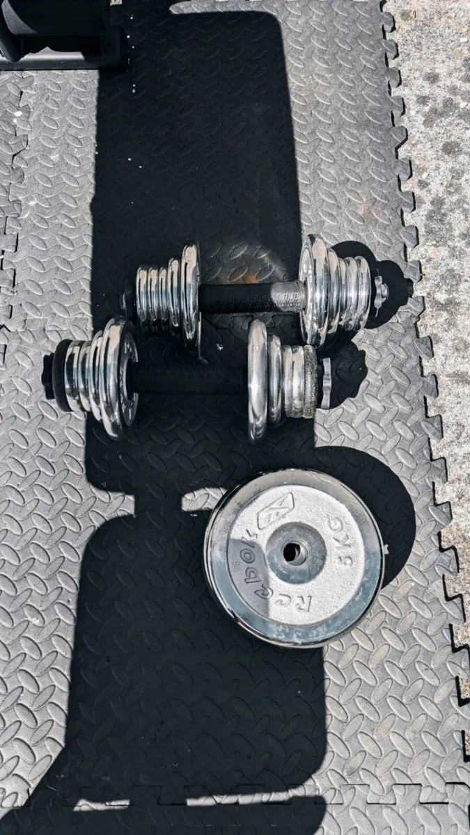 Home Gym Set – Bench + Barbell + Weights - Image 4