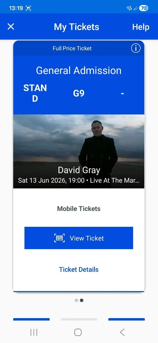 2 x David Gray Tickets, Sat 13th June - Image 1