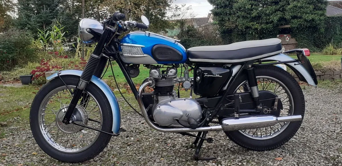 1965 Triumph Tiger 90 - Image 2