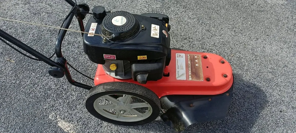 HEAVY DUTY WALK BEHIND STRIMMER FOR HIRE - Image 2