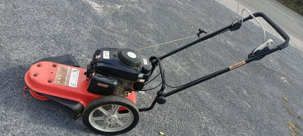 HEAVY DUTY WALK BEHIND STRIMMER FOR HIRE - Image 1