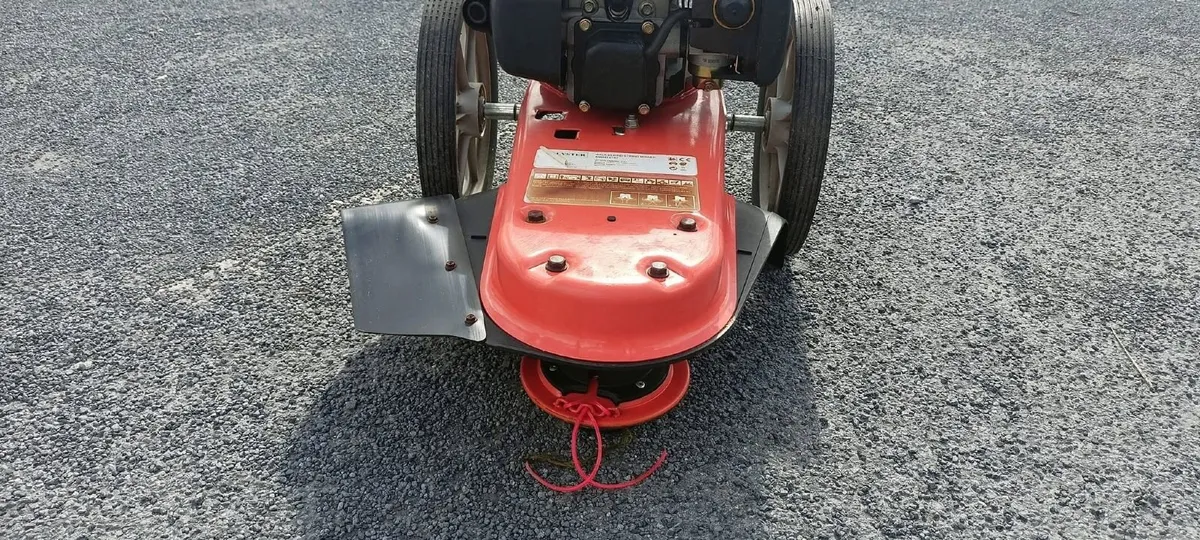 HEAVY DUTY WALK BEHIND STRIMMER FOR HIRE - Image 4