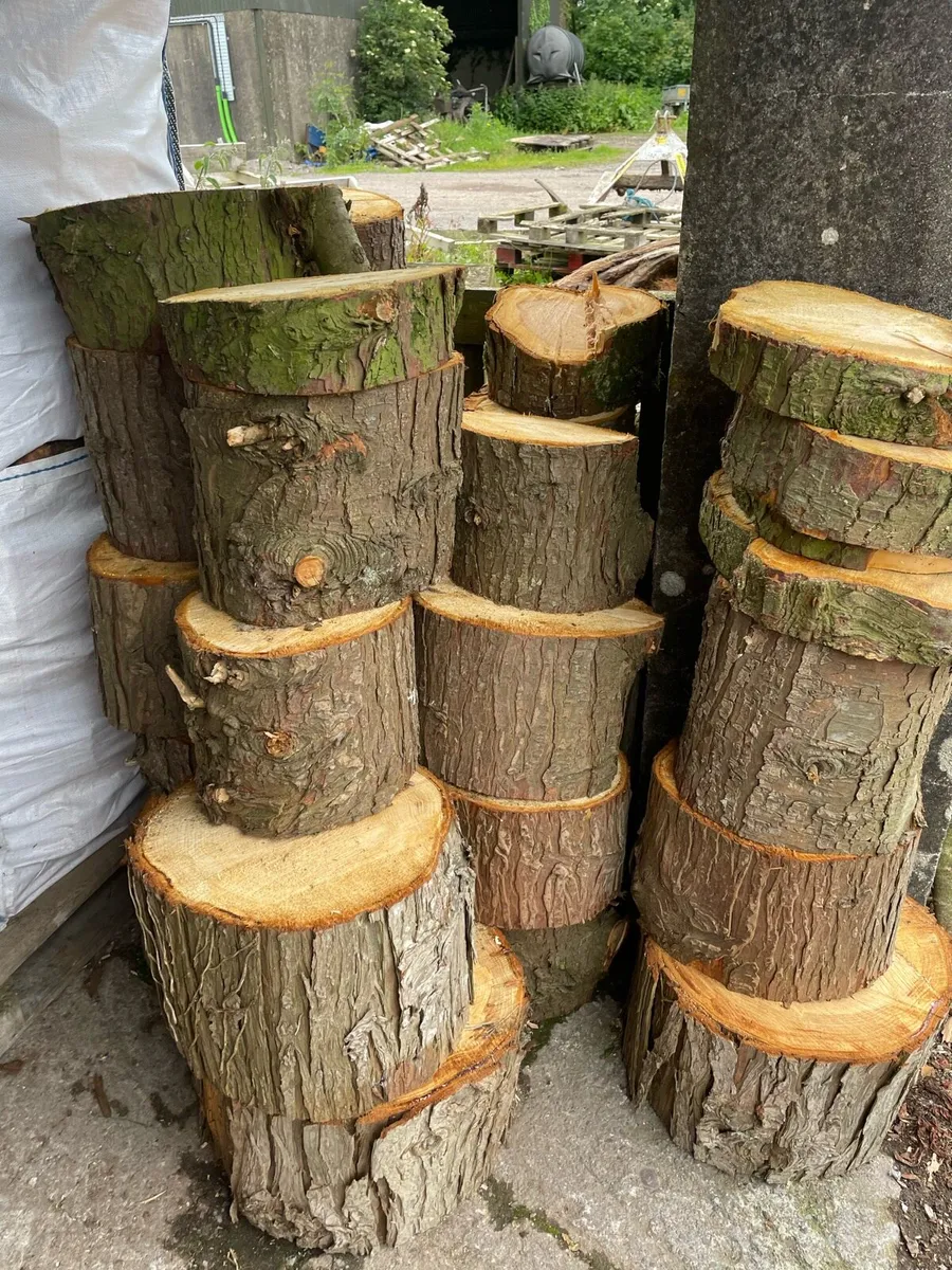 Large load softwood timber lengths - Image 2