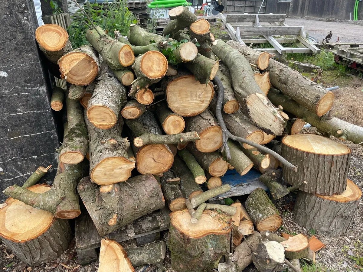 Large load softwood timber lengths - Image 1