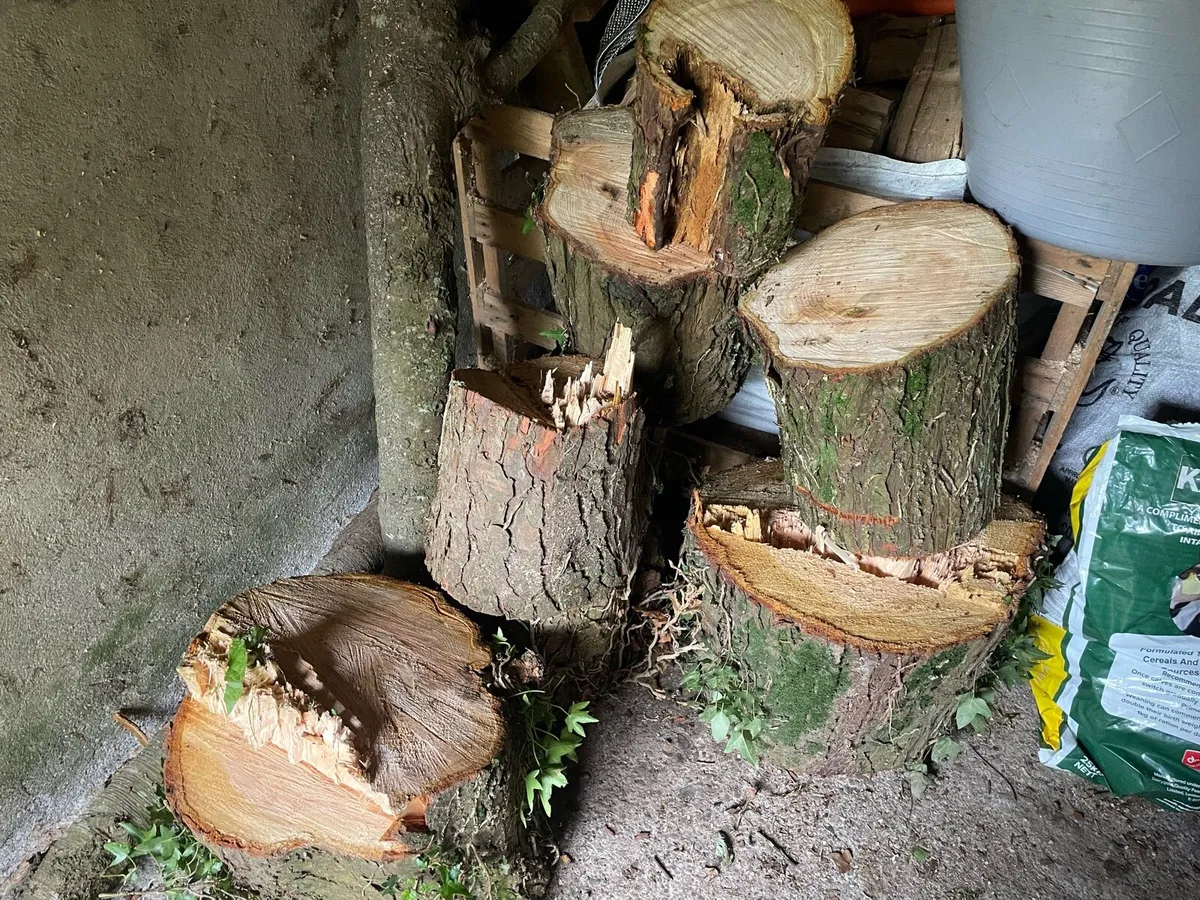Large load softwood timber lengths - Image 4
