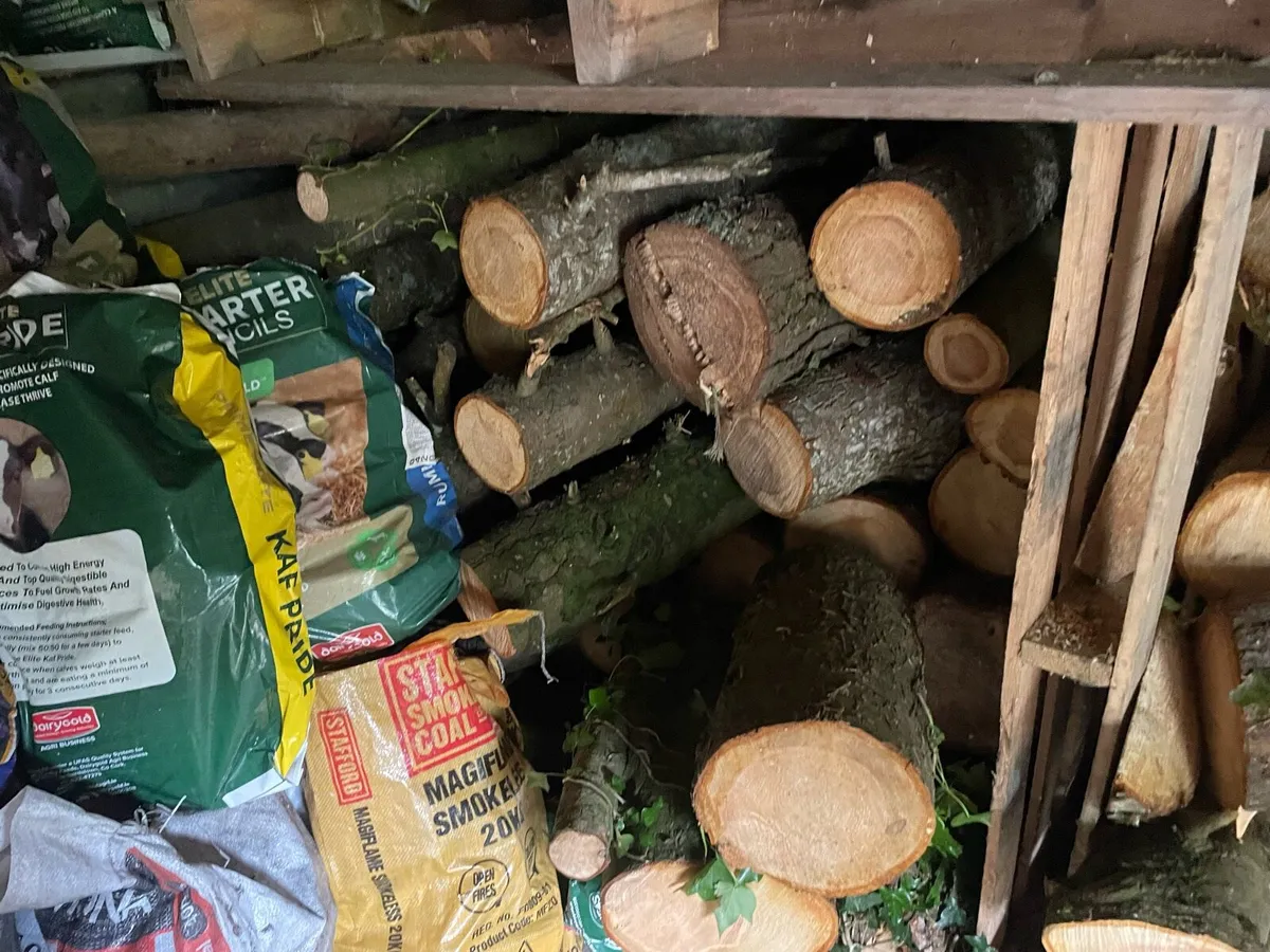 Large load softwood timber lengths - Image 3