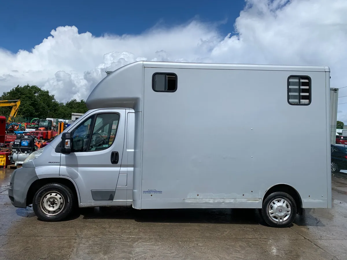 2011 FIAT DUCATO 2 STALL HORSEBOX FOR AUCTION - Image 2