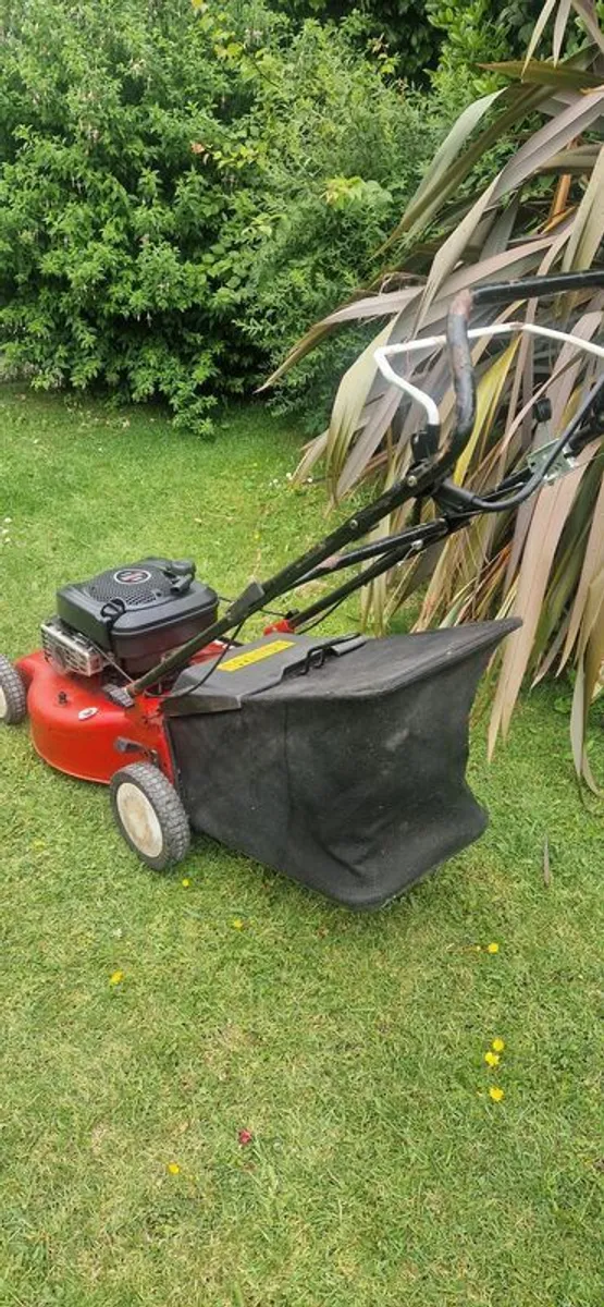 Self Drive Petrol Lawnmower - Image 3