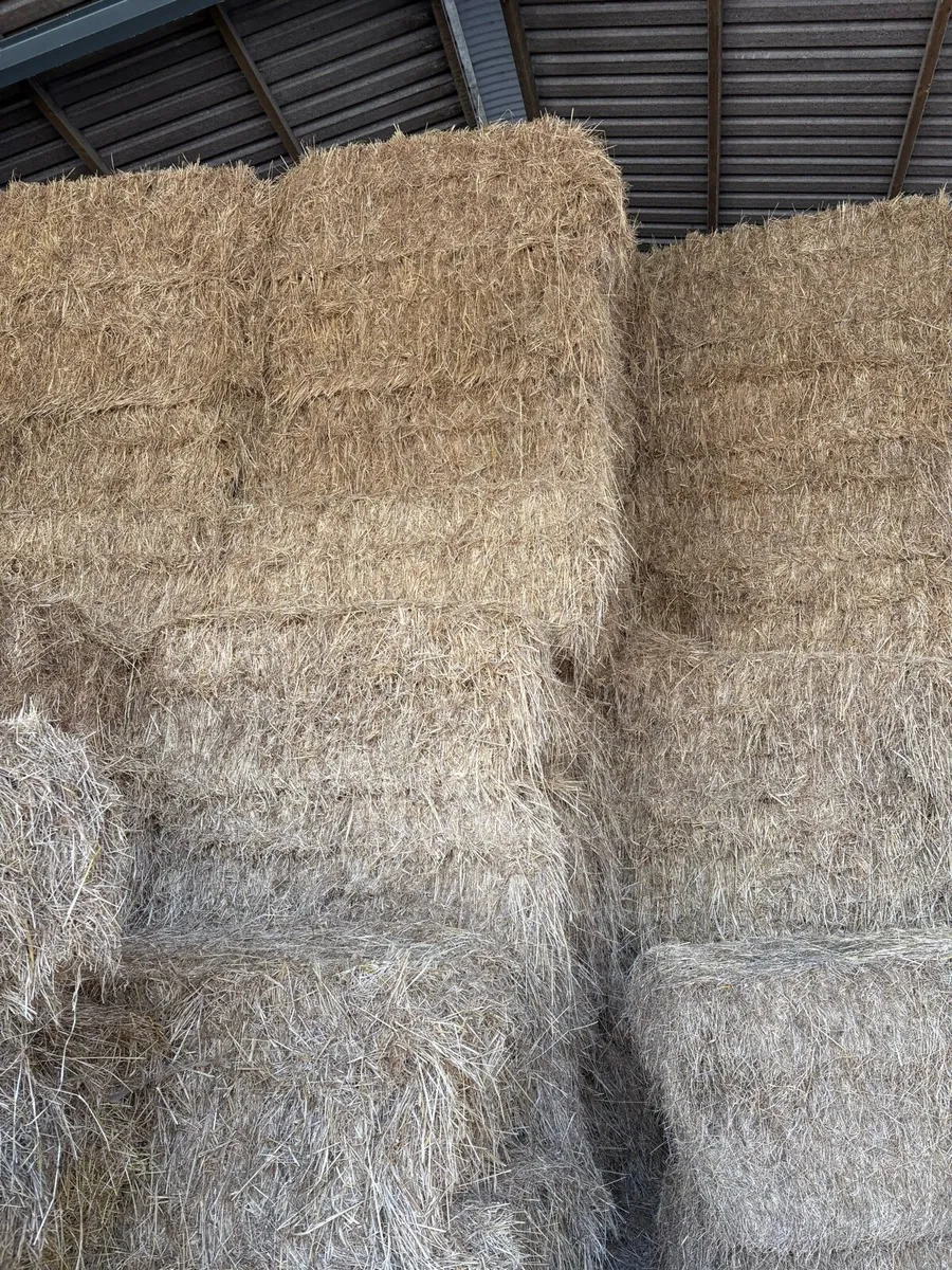 Hay 6x4x2.5 - Image 1