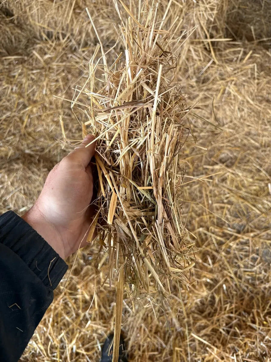 Hay 6x4x2.5 - Image 3