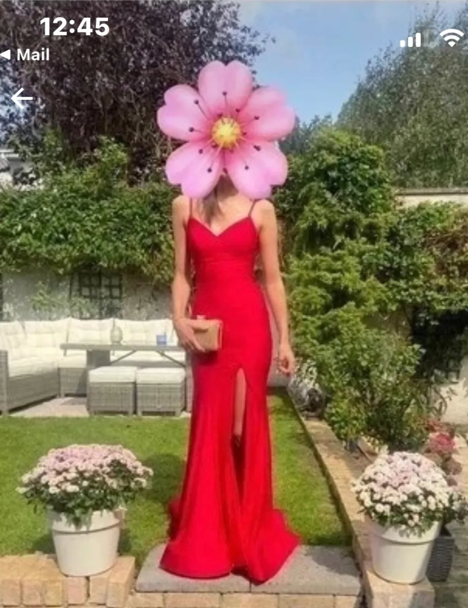 Deb’s dress - Image 3
