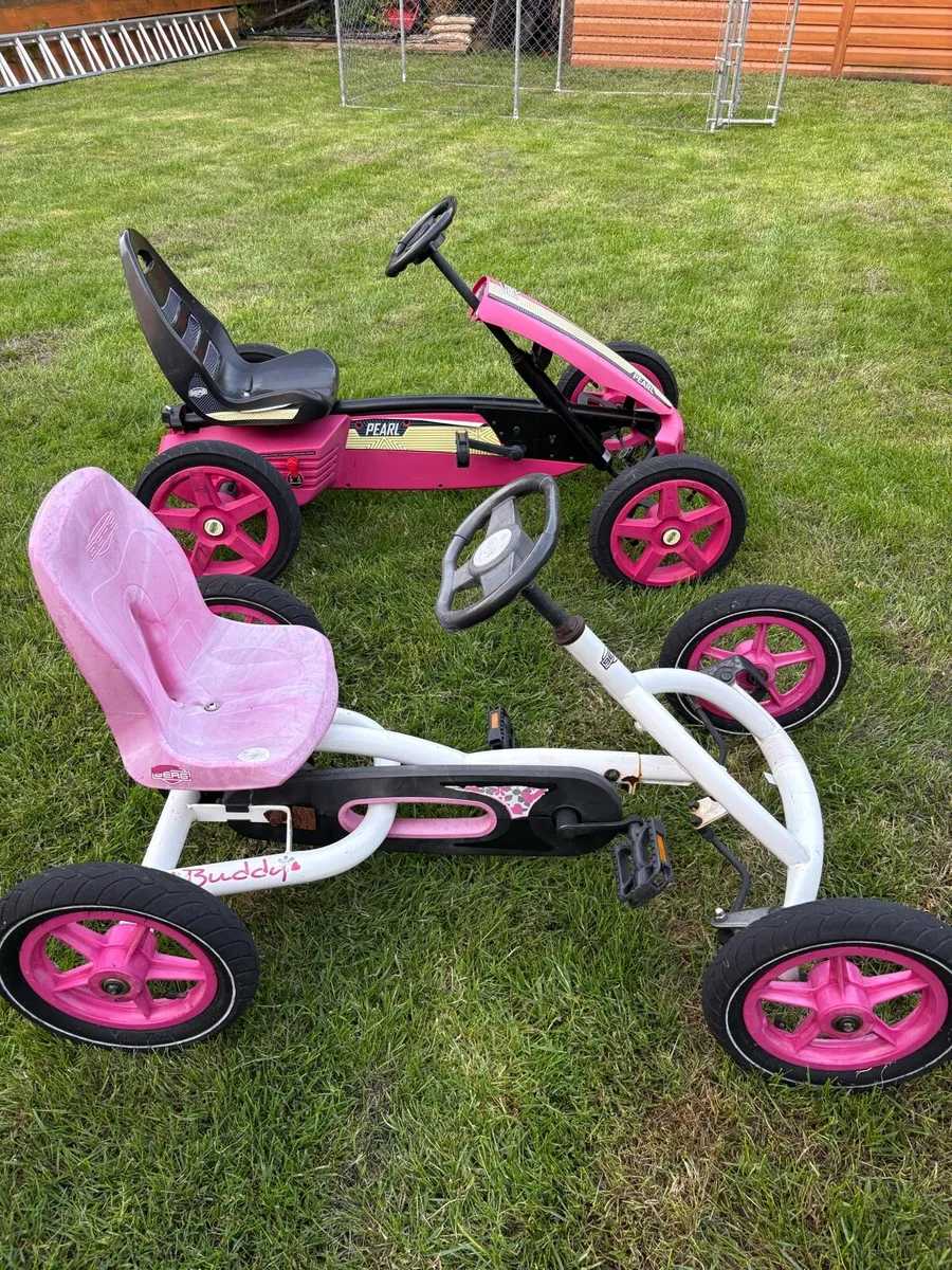 Berg Go-Karts - Image 1