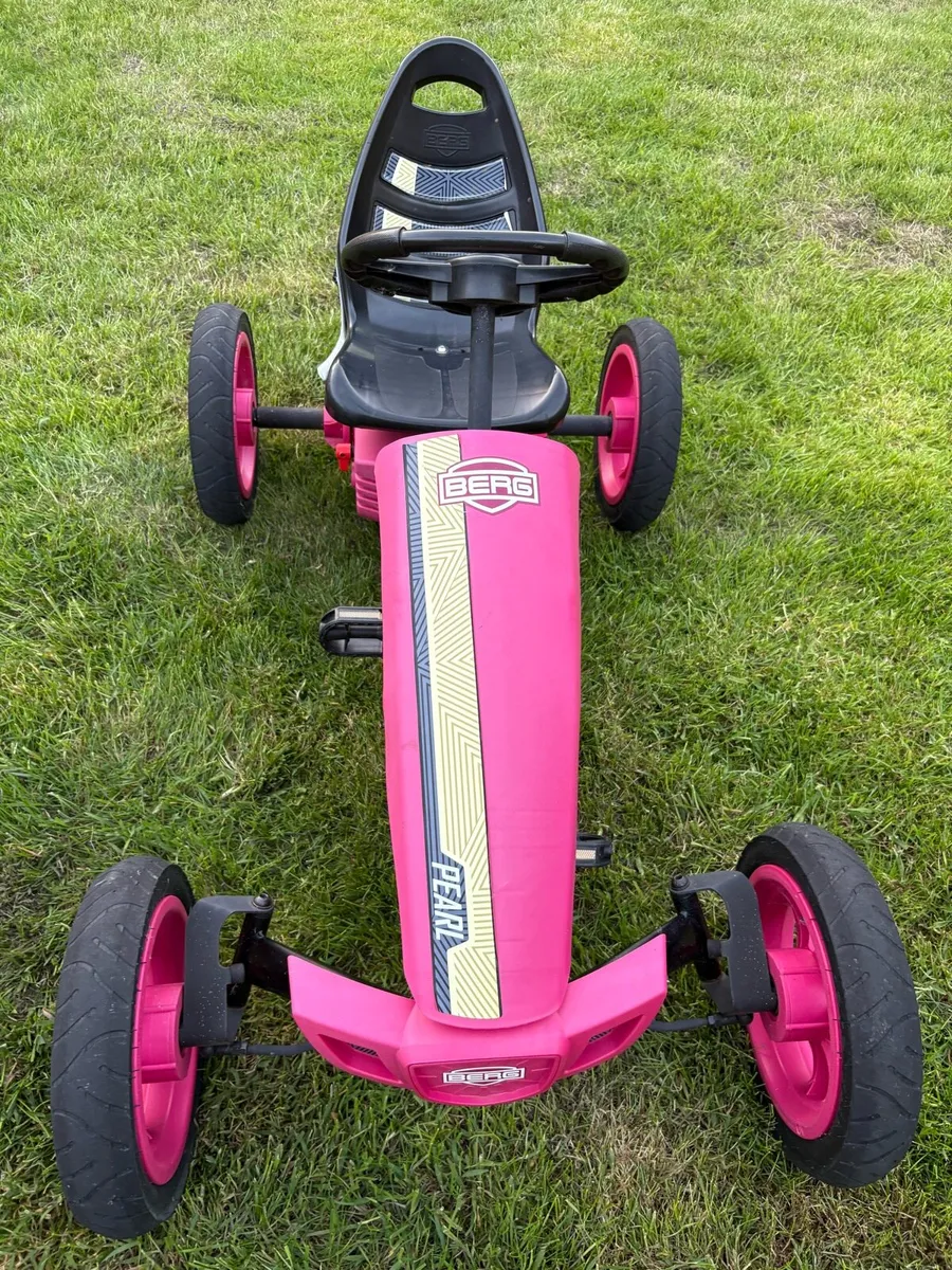 Berg Go-Karts - Image 2