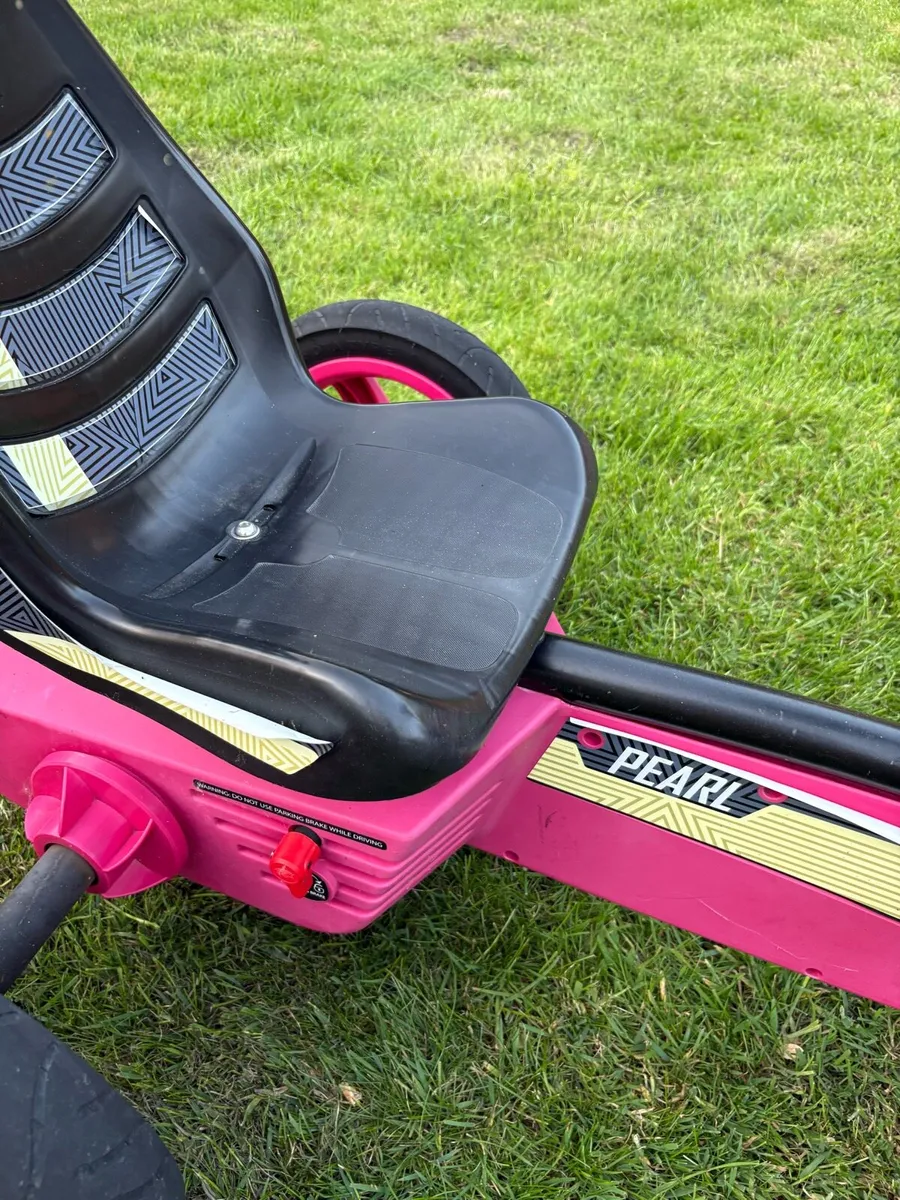 Berg Go-Karts - Image 4