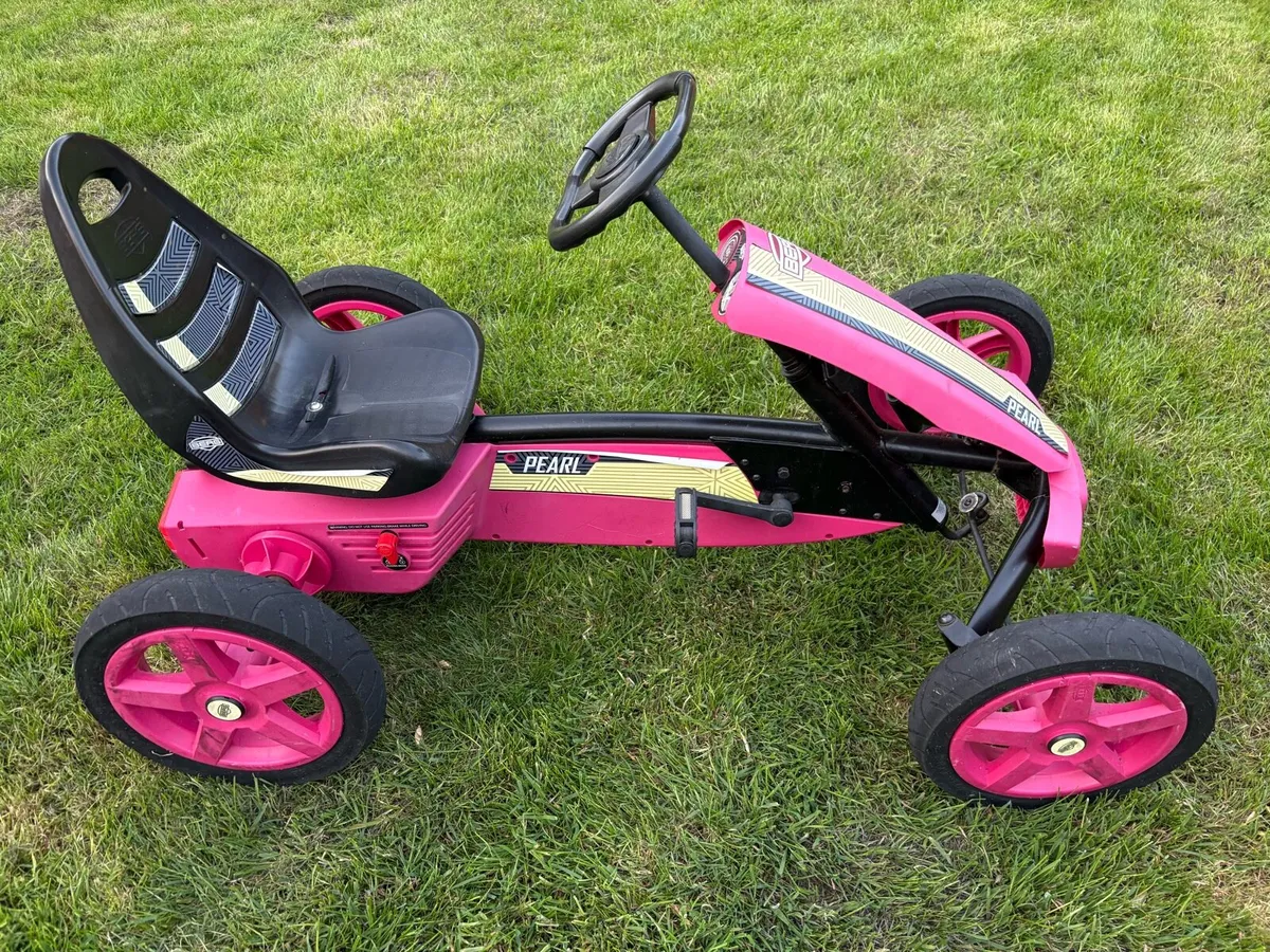 Berg Go-Karts - Image 3