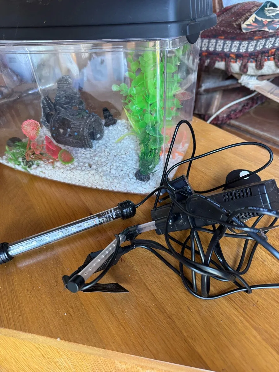 Fish Tank - Image 2