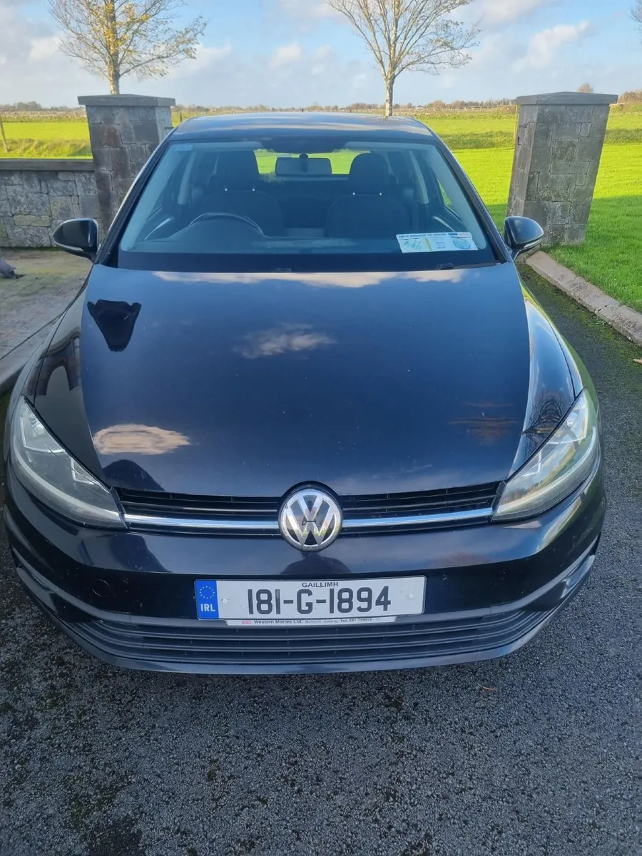 VW GOLF COMMERCIAL 2018 1.6L TDI - Image 2