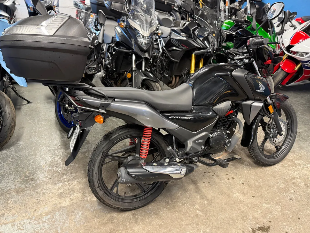 2024 HONDA CBF125 - Image 3