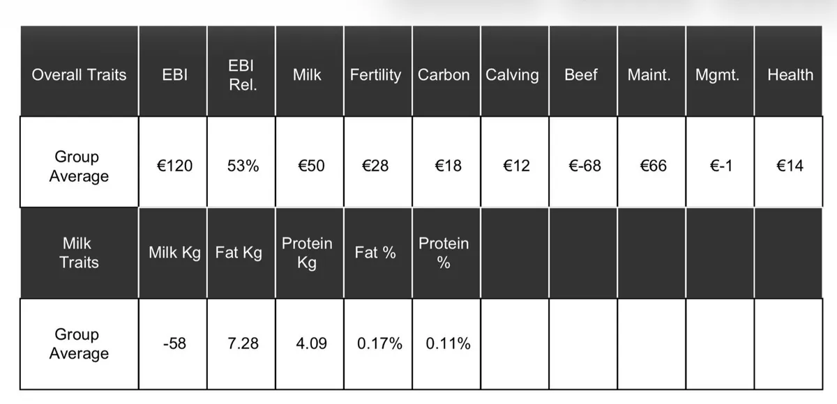 Dairy Heifer calves - Image 4