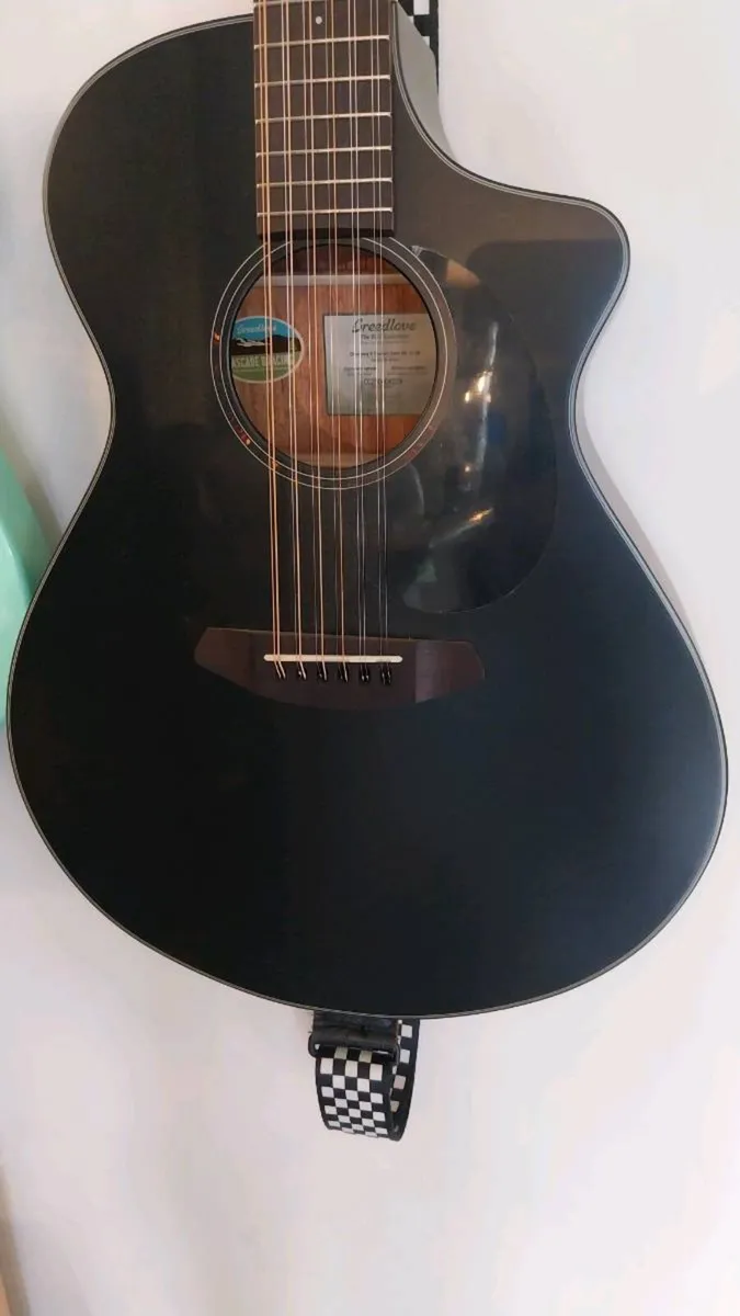 Breedlove Discovery Concert 12 string guitar - Image 1